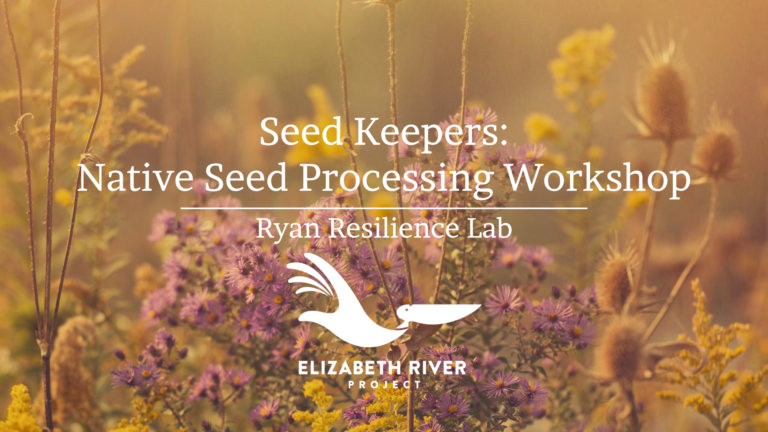 Seed Keepers: Native Seed Processing Workshop